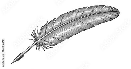Vintage feather pen: intricate ink design with detailed line art