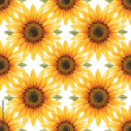 beautiful sunflower watercolor background spring colorful seamless pattern