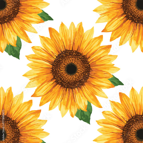 beautiful sunflower watercolor background spring colorful seamless pattern