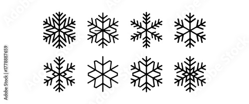 Different snowflake designs in black and white showcasing unique patterns and shapes captured in a clear, simple layout