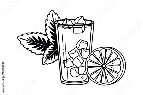 Refreshing drink with ice cubes mint and citrus slice