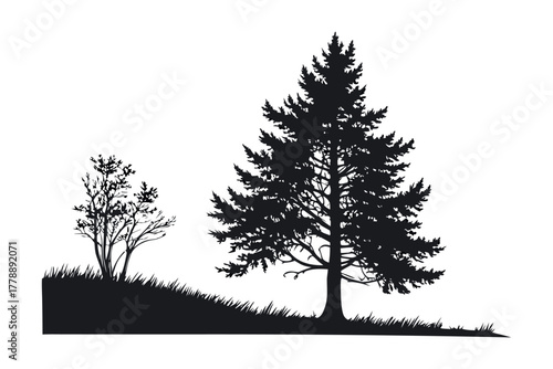 Silhouetted Evergreen Tree and Bush on Grassy Hill