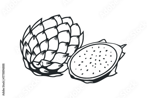 Hand Drawn Dragon Fruit Slice and Whole Fruit Line Art
