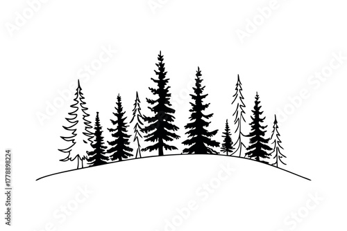 Black silhouette of evergreen trees on white background