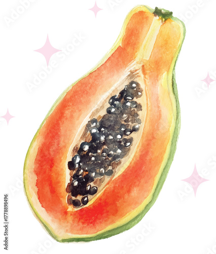 Tropical papaya fruit juicy citrus trending fruity cute Costa Rica tropical vacation summer  t-shirt design Slogan Logo Graphic Vector Tee shirt fruit apparel print style vector fruits fashion mango