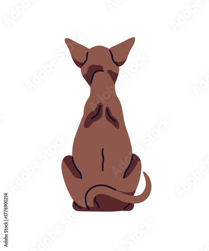 Cute Oriental Shorthair is sitting back view. Turned away Javanese cat. Funny slim kitty backside. Behind of kitten with brown coat. Pet, domestic animal. Flat isolated vector illustration on white