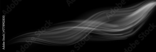 Light trail wave, fire path trace line and effect curve twirl. Neon motion effect. White special effect,speed police line. Road Magic of moving fast lines. Line of light on a black background