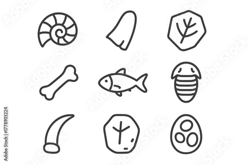 Prehistoric elements linear icon set. featuring ammonite, tooth, leaf, bone, fish, trilobite, claw, egg symbols