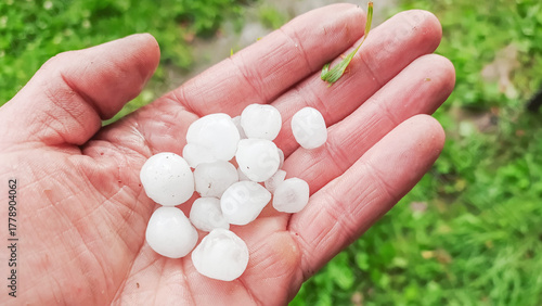 Tableau sur toile Large hailstones lie on the palm of the hand.