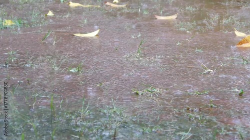 land drenched by heavy rain