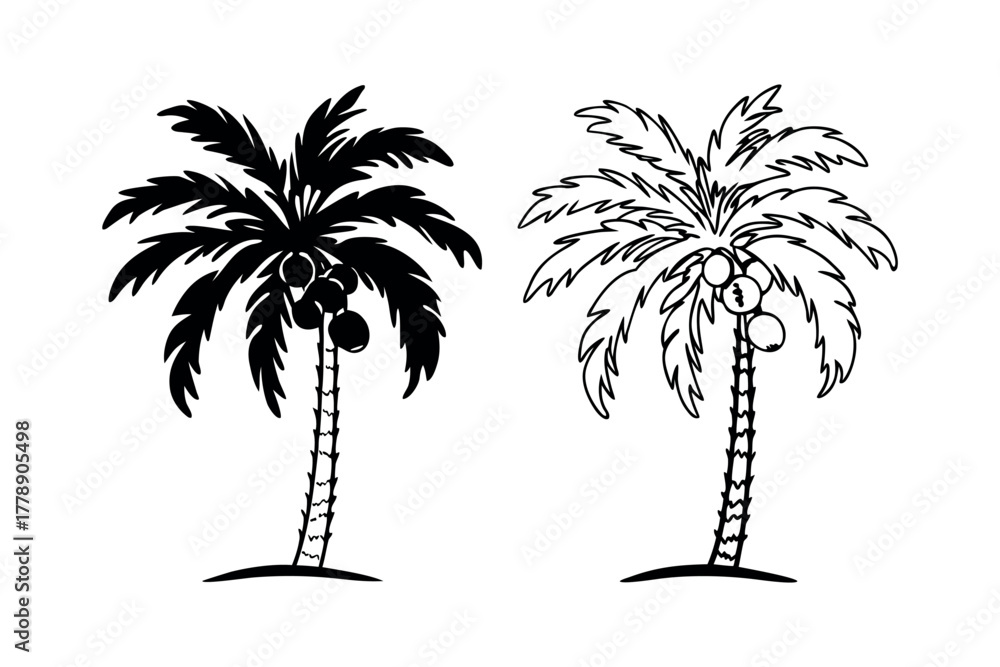 Obraz premium Palm tree with coconuts graphic