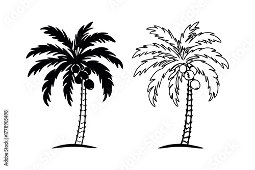 Palm tree with coconuts graphic