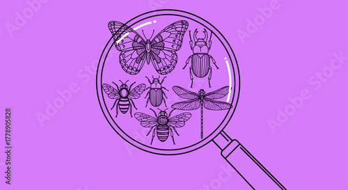 Sketch of various insects under a magnifying glass on a purple background highlighting entomology