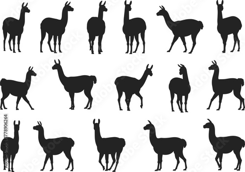 Llama silhouette collection, animal poses, black vector llamas, profile views, farm creature icons, minimalist livestock shapes, flat vector illustration