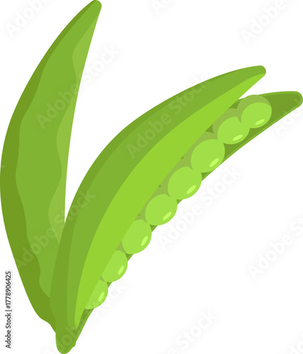 Green Pea Pod Illustration with Fresh Peas. Healthy Vegetable Food Icon. Simple Cartoon Vector.