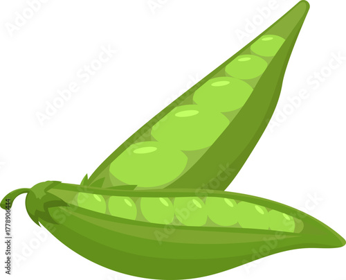 Fresh Green Pea Pods: Whole and Opened Vector Illustration with Peas Inside