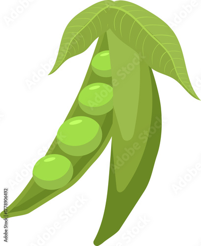 Green Pea Pod with Fresh Peas Inside, Cartoon Style Illustration on White Background