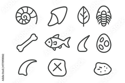 Fossil linear icon set. featuring ammonite, dinosaur bone, leaf imprint, trilobite, fish skeleton, and more