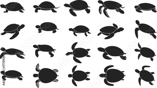 collection of insect silhouettes vector illustration