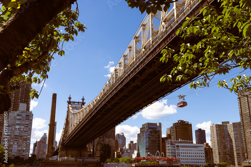 Queensboro Bridge with Urban Skyline. Scenic view of the Queensboro Bridge with Manhattan skyline in the background, captured on a clear sunny day framed by tree branches