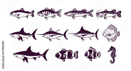 Bundle of vector fish silhouettes. Features both freshwater and saltwater varieties.

