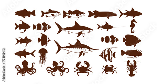 Group of vector fish outlines. Includes freshwater and saltwater species.

