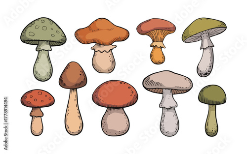 Explore vibrant mushroom varieties for nature-inspired designs and creative projects, adding an earthy touch to your next culinary adventure!