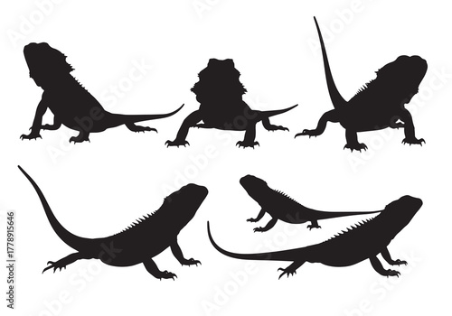 Silhouette of a bearded dragon collection of different poses of lizards vector illustration