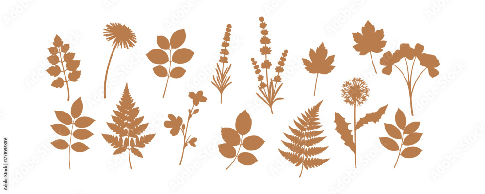Obraz premium Floral silhouettes with various elements. Monochrome glyphs of natural leaves and herbs. A collection of botanical flower vector illustrations. Set against a white background.