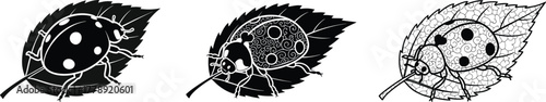 Detailed ladybug beetle silhouettes on leaves, floral pattern insect illustration set in black and white for nature design elements