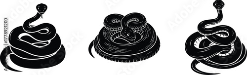 Coiled snake silhouettes and detailed venomous serpent illustration dangerous reptile wildlife nature vector design cobra viper collection artwork