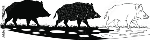 Wild boar silhouettes and detailed illustration walking in nature forest landscape wildlife animal vector design woodland hog art