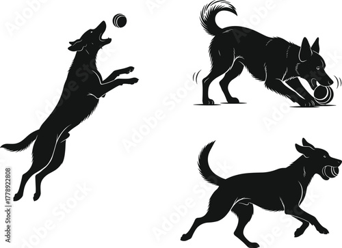 Energetic black dog playing fetch with ball, jumping, running and catching in motion, playful pet silhouette vector illustration design
