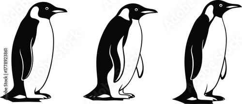 Three penguins standing in line black and white vector illustration, minimalist wildlife design perfect for Arctic, nature, and animal themes