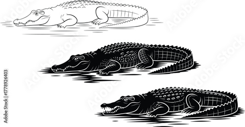 Crocodile silhouette vector illustration set showing reptile animal in water with detailed scales and wildlife nature design concept
