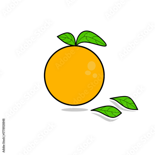 Citrus Orange Fruit with Leaf Vector Illustration