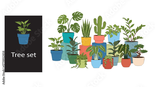 Assortment of potted houseplants and succulents in various colorful pots