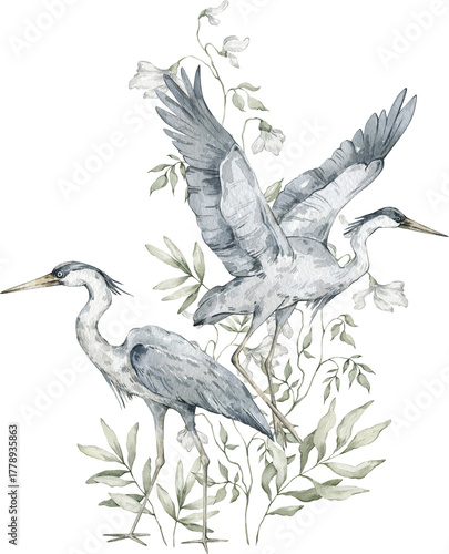 Watercolor blue heron and leaves. Vintage nature illustration for cards, posters.