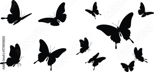 Silhouette flying butterflies collection isolated on white background, vector illustration of butterfly shapes, decorative insects design, nature art concept, cad drawing flat vector illustration