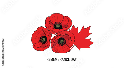 Canadian Remembrance Day Illustration with Poppies and Maple Leaf.