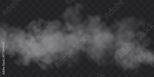 White fog effect on black transparent background. Steam soft cloud overlay vector illustration.