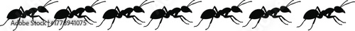 Ants marching in line insect colony teamwork concept black silhouette cad drawing flat vector illustration isolated design nature pest graphic art
