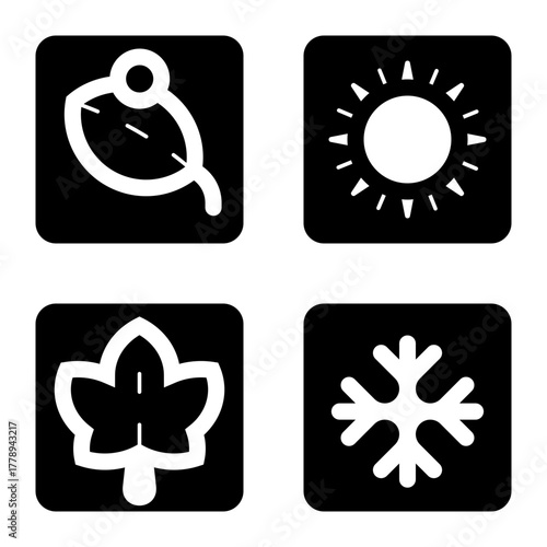 four seasons spring summer fall and winter glyph icon