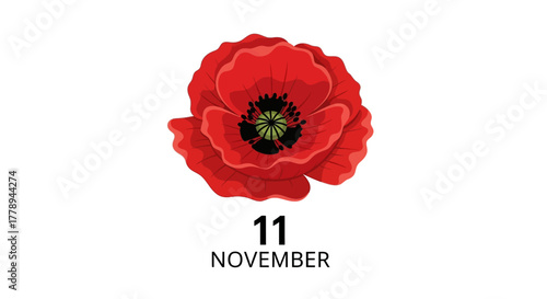 Remembrance Day Poppy and Date November 11.