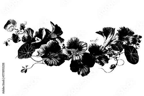 Nature's Whisper: Bouquet Pennyroyal Nasturtiums | Clean, isolated vector art for creative projects.