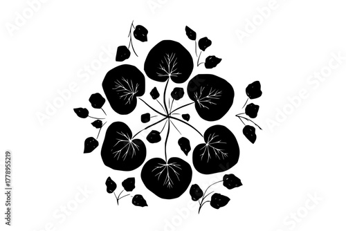 Mono Floral Delight: Artful Arrangement Nasturtium Bilberry Leaves | Clean, isolated vector art for creative projects.