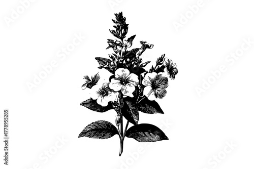 Vintage Floral Illustration: bouquet nature's bounty | Clean, isolated vector art for creative projects.