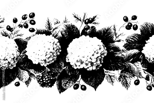 Elegant Floral Border: Hydrangea Pomegranate Decorative Design | Clean, isolated vector art for creative projects.