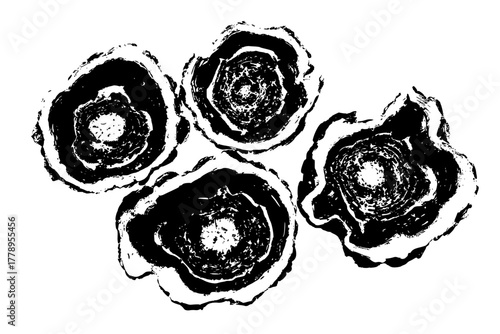 Black White Botanical Art: Angelica Root Slices | Clean, isolated vector art for creative projects.