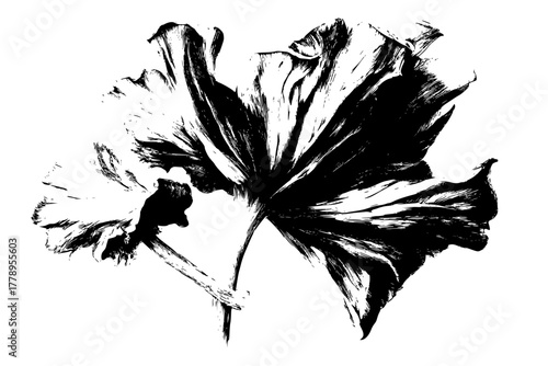 morel mushroom bloom | Clean, isolated vector art for creative projects.